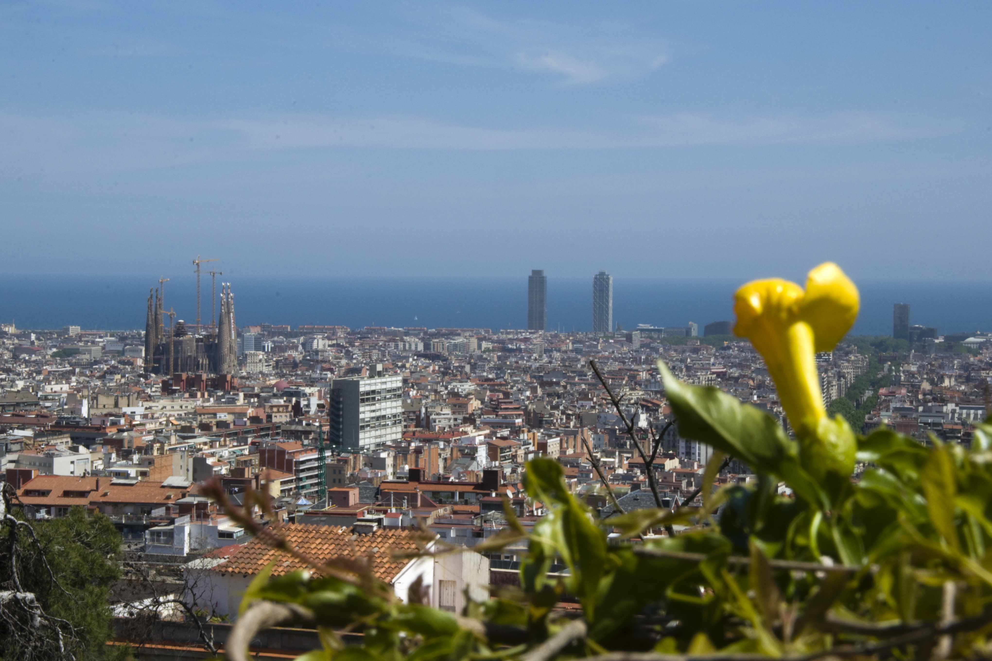 Pictures Of Barcelona